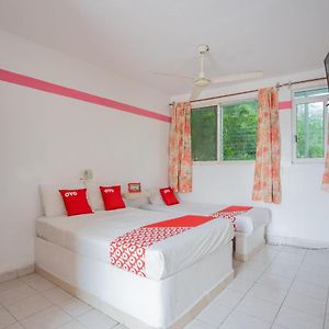 Habitación Triple Estándar